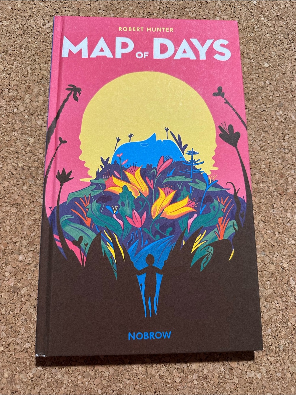 Map of Days by Robert Hunter